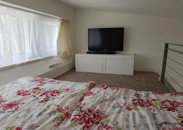 124/1 * Loučná pod Klínovcem